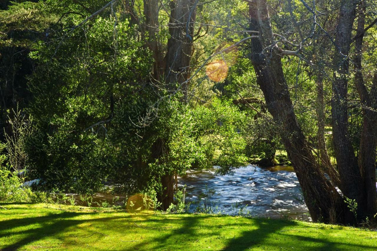 Russell Falls Holiday Cottages National Park Exterior foto