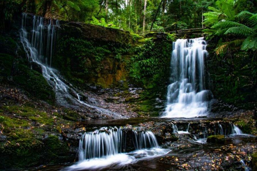 Russell Falls Holiday Cottages National Park Exterior foto